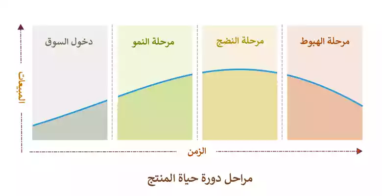 رسم توضيحي للمراحل المختلفة في دورة حياة المنتج